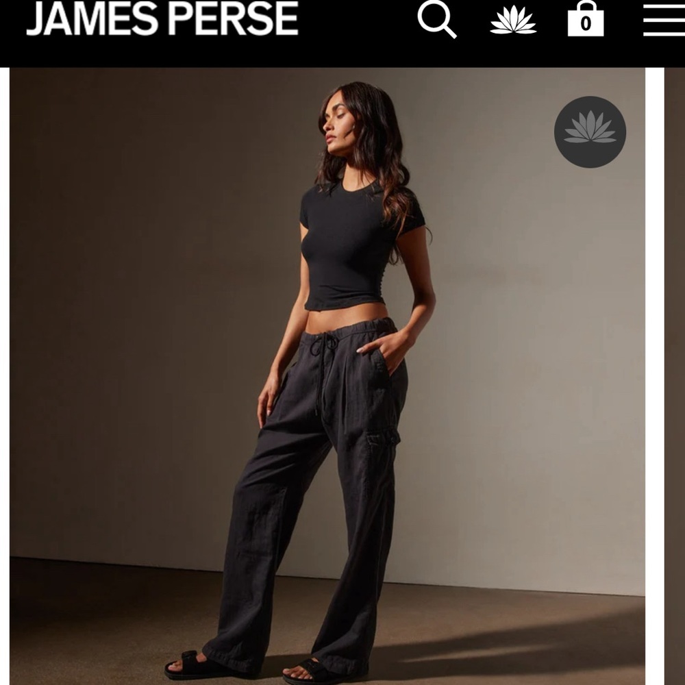 James Perse: Wide Leg pant, size 2